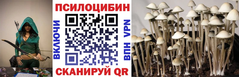 mega зеркало  Александров  Галлюциногенные грибы мицелий  продажа наркотиков 